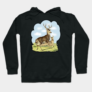 Deers Colorful Illustration Hoodie